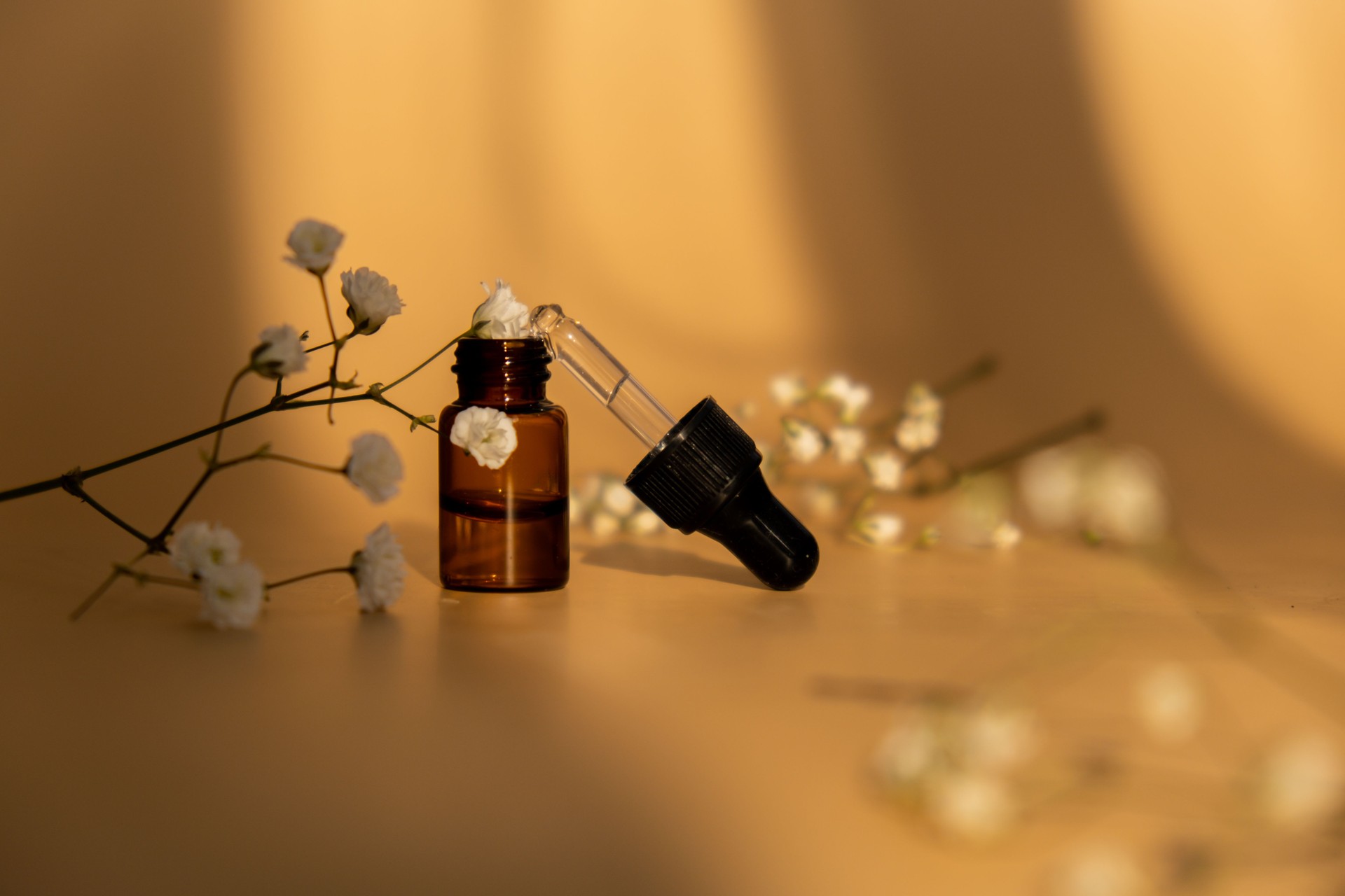 Petite bouteille de sérum sur fond beige neutre. Ombres tendance. Compte-gouttes à pipette de beauté avec gypsophile ou fleurs blanches du souffle de bébé. Verre d’huile cosmétique et de fleurs et herbes séchées